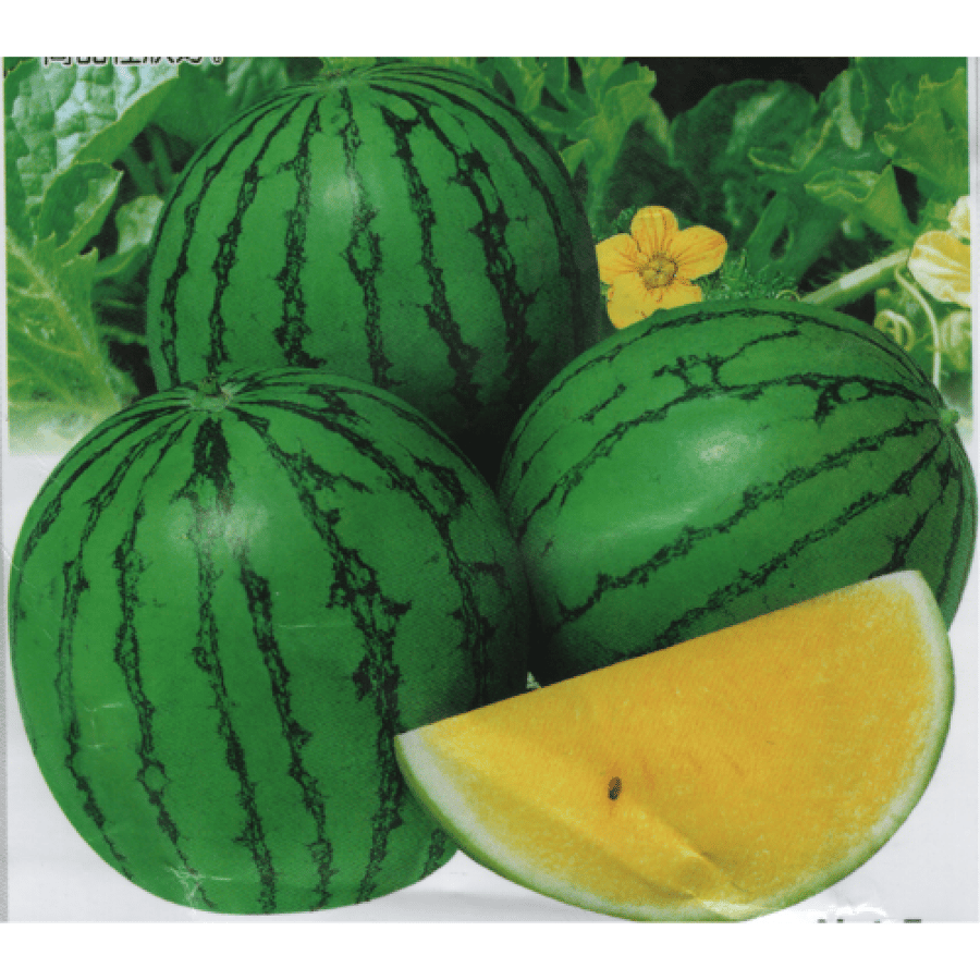 حبحب اصفر
