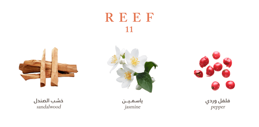 عطر ريف 11 عطر أنيق بطابع ناعم وجذاب 100مل