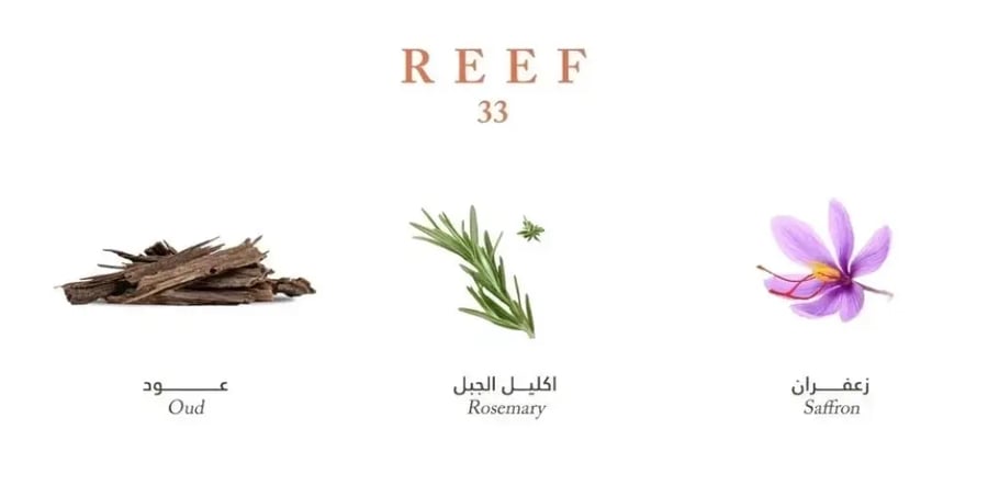 عطر ريف 33 او دي بارفان للجنسين 100 مل