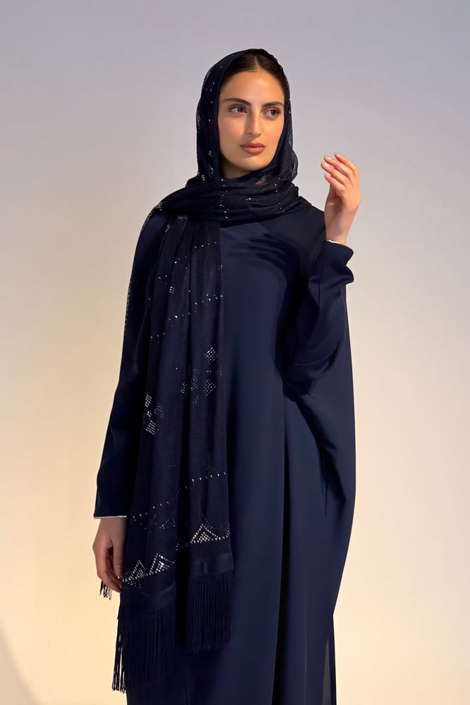 Naqda Tarha – Soft Tulle with Silver Hand Embroidery