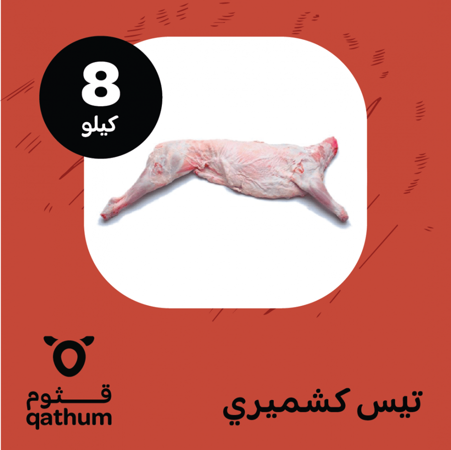 تيس لباني كشميري 8 كيلو