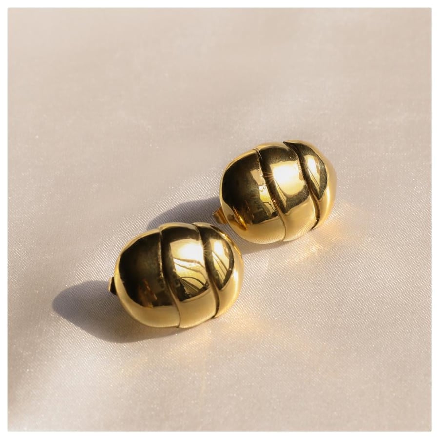 Sculpted earrings