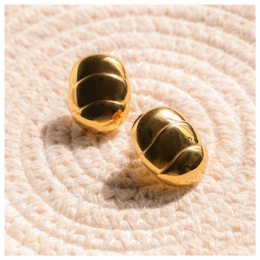 Sculpted earrings