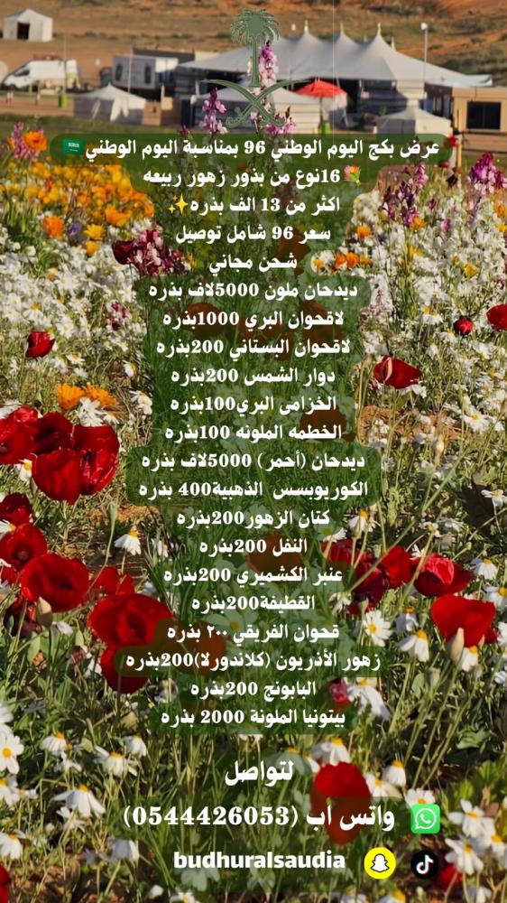 عرض اليوم الوطني بذور زهور شتويه