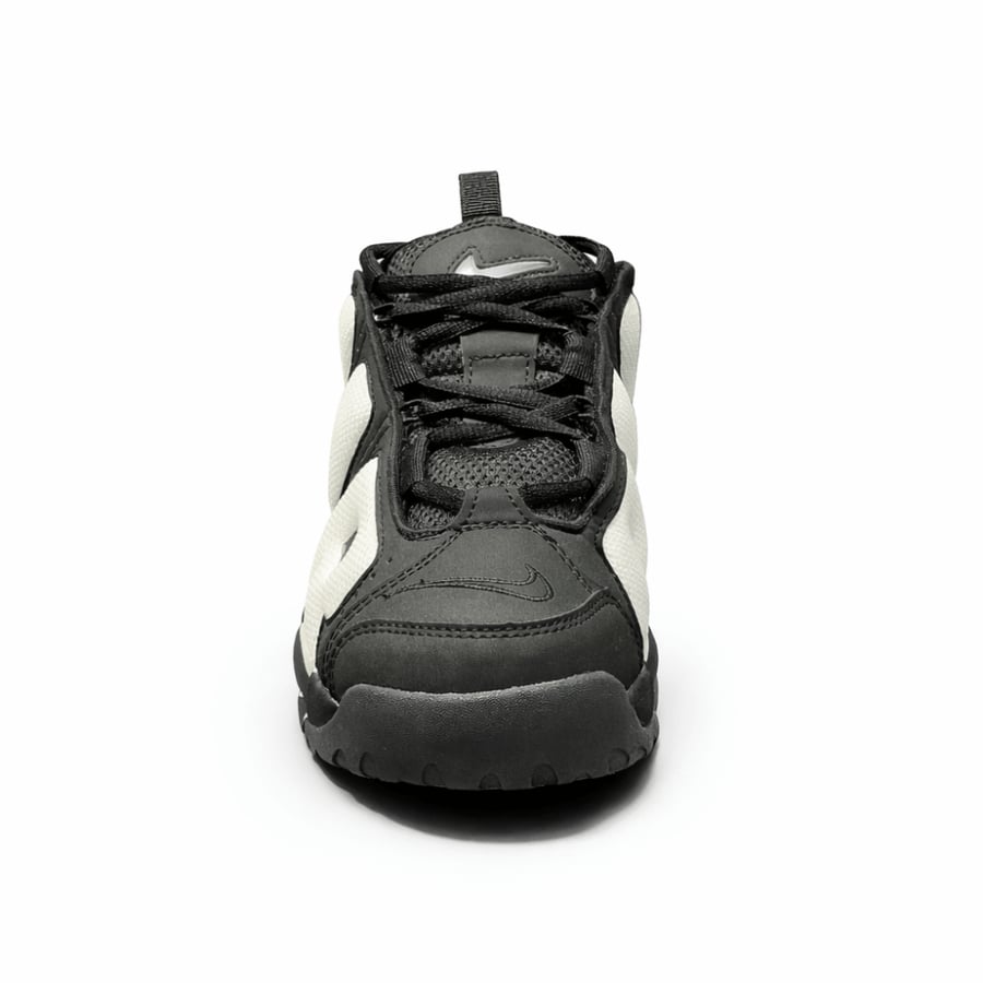 Air More Uptempo