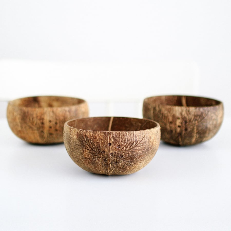 صحن جوز الهند سموذي بول أواني خشبية coconut bowls متجر نباتي فيقن