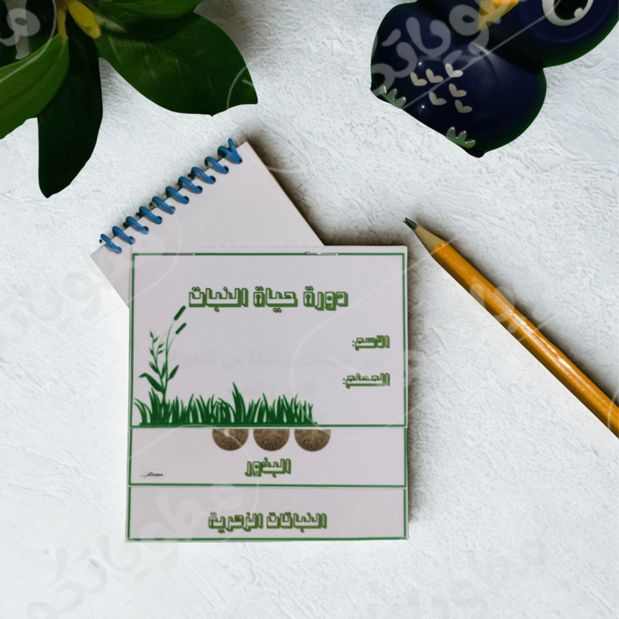 دورة حياة النباتات (شكل 2)