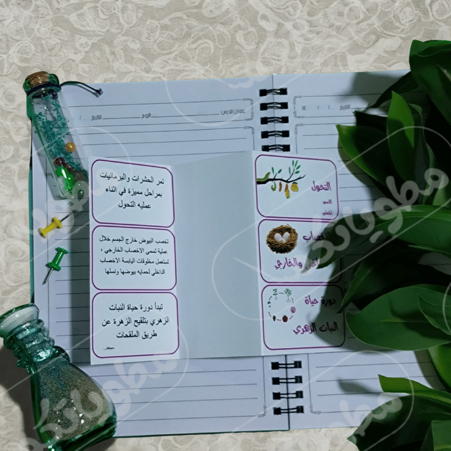 دورات الحياة