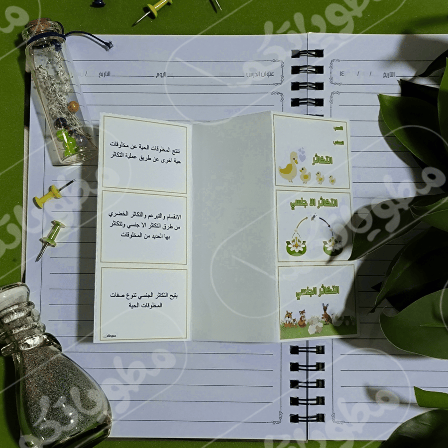 التكاثر