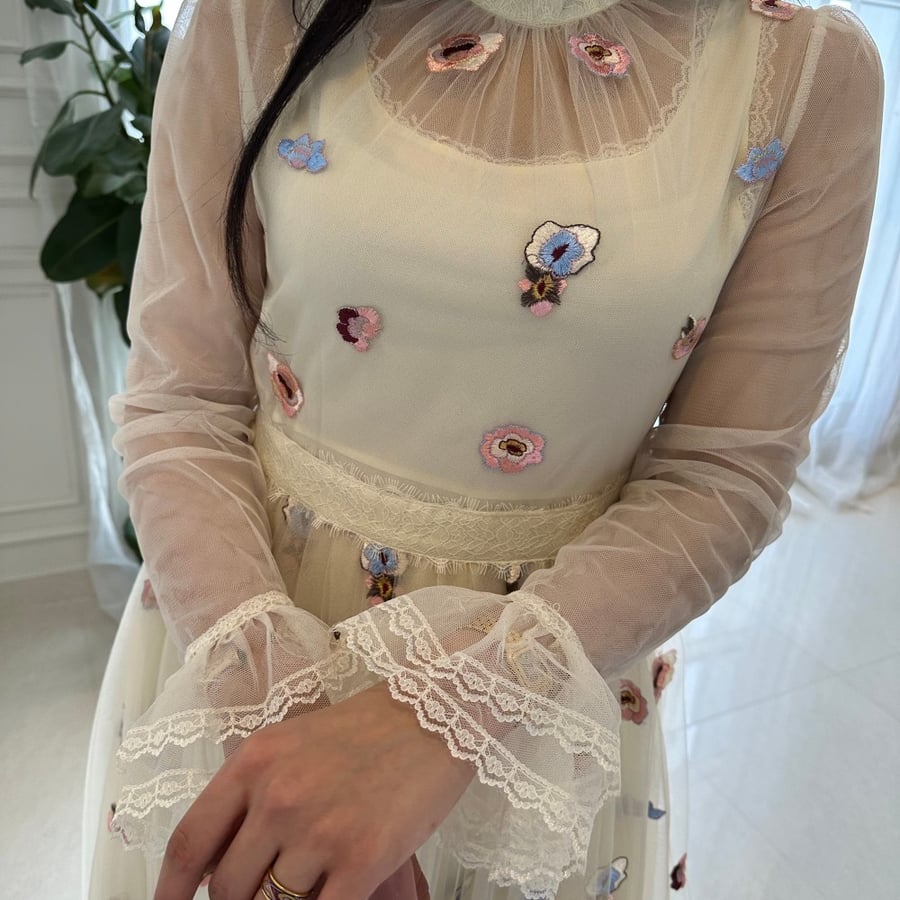 Lace & Embroidery Dress