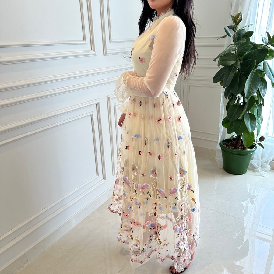 Lace & Embroidery Dress