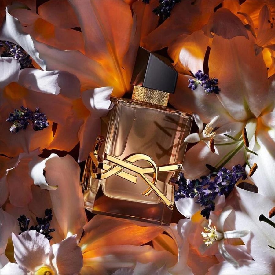 عطر ايف سان لوران الاصدار الجديد
