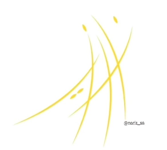 يوكتا مطرزة ( على حسب التصميم)