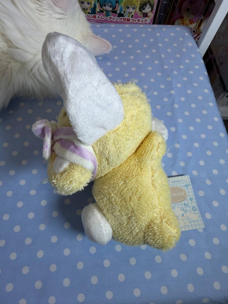 [ شحن فوري ] سينامورول دمية قطنية | Cinnamoroll plush