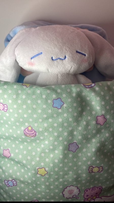 [شحن فوري] سينامون رول علبة مناديل  دمية قطنية | Cinnamon roll plush