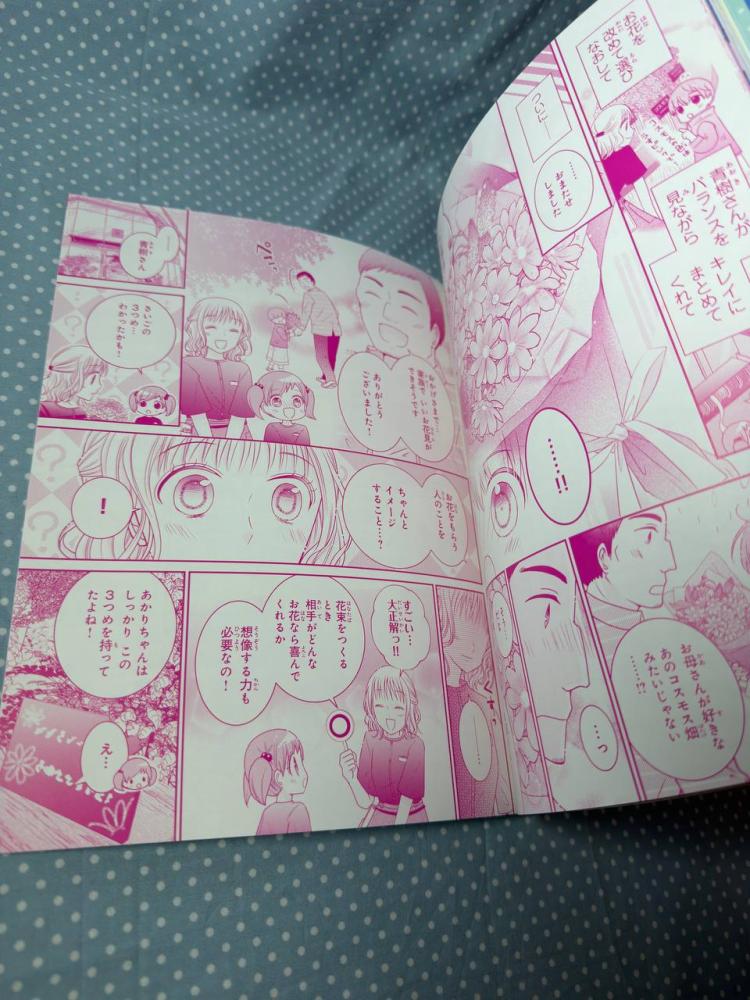 [حجز] مجلة اني هيمي اليابانية مع بونس حصري سيلفانين فاملي الارنب فلورا  | Sylvanian FamilyKodansha Ane Hime vol.17 Magazine JAPAN OFFICIAL flora