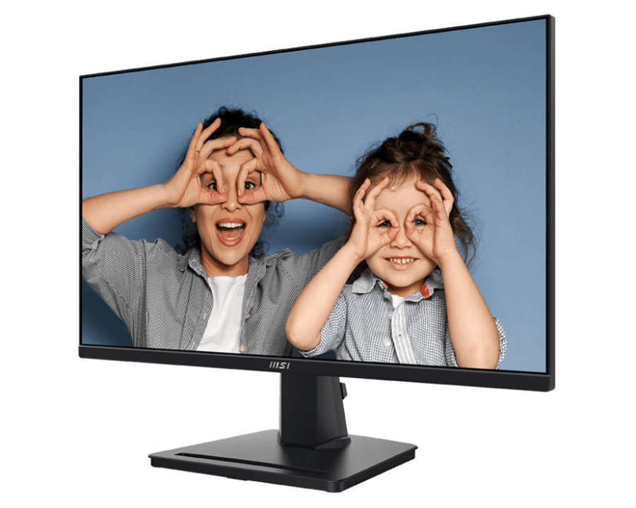 MSI Pro MP251 Computer Monitor, 24.5", 1920 x 1080 (FHD), IPS, 100Hz,