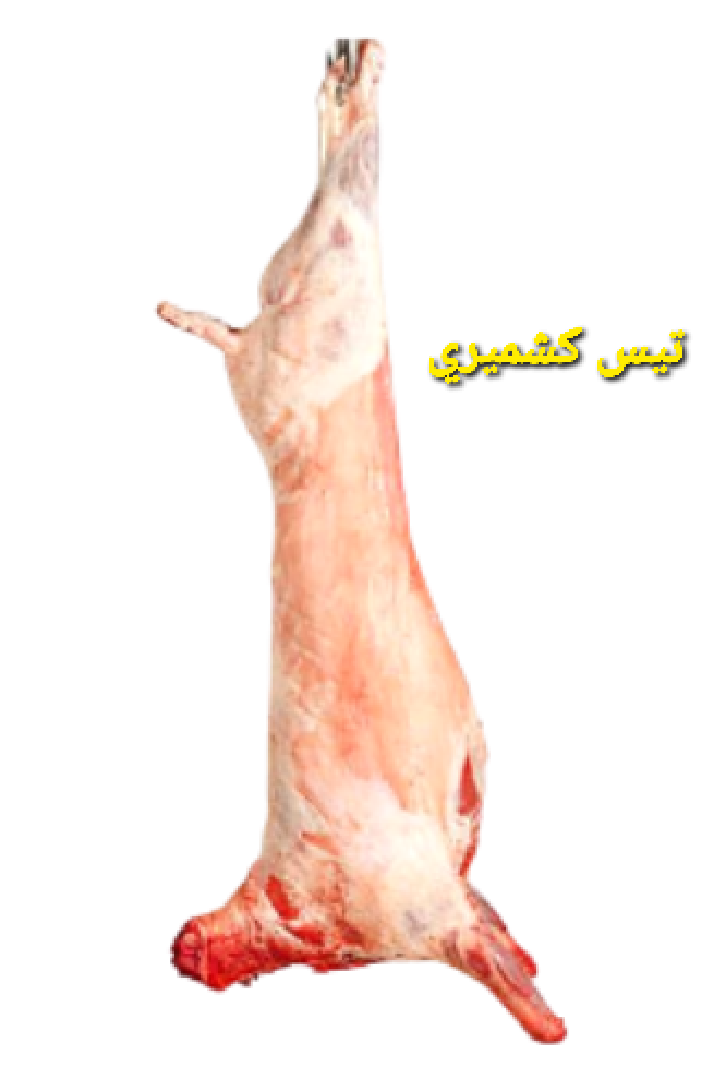 خاروف كشميري  هرفي مبرد الوزن: 10- 11كيلو