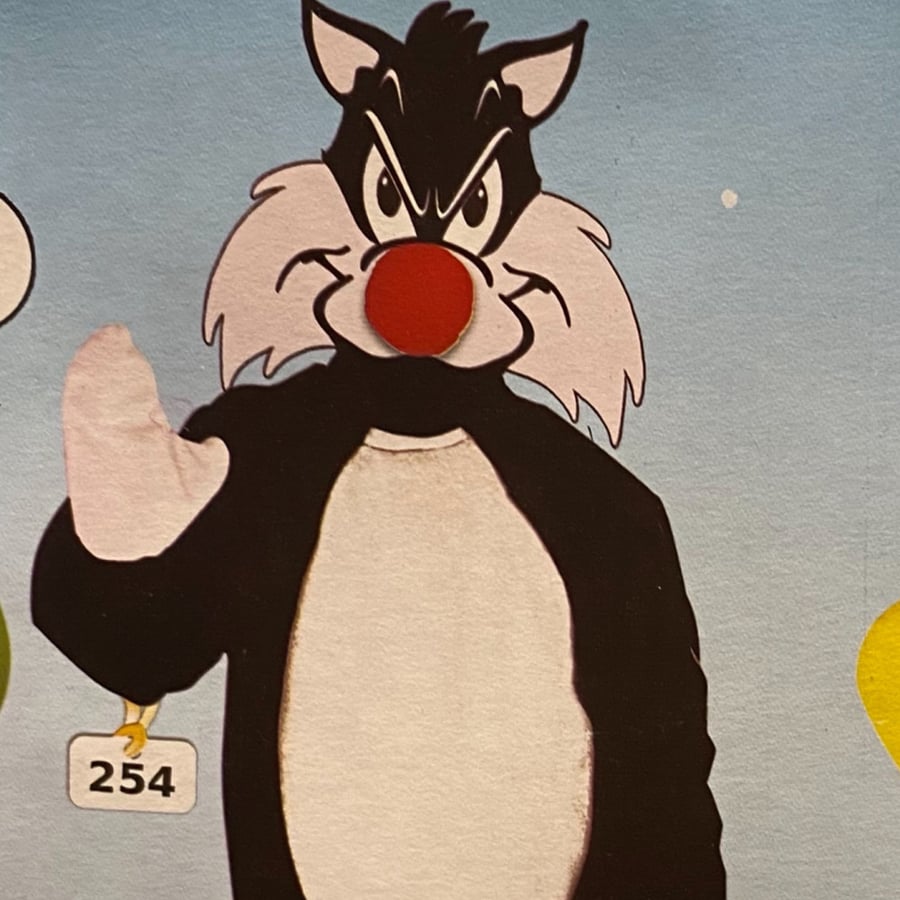 لباس سلفستر