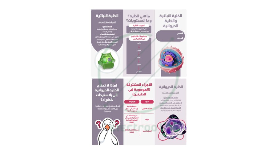 مطوية علوم درس ( الخلية النباتية والحيوانية)