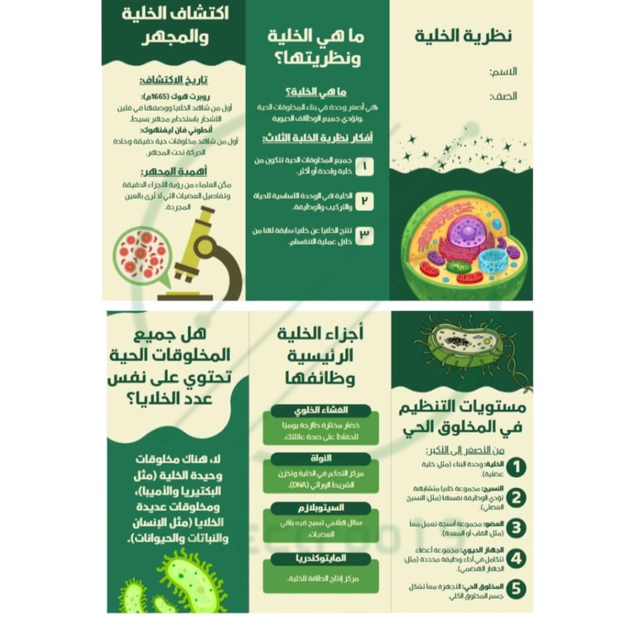 مطوية علوم درس ( نظرية الخلية )