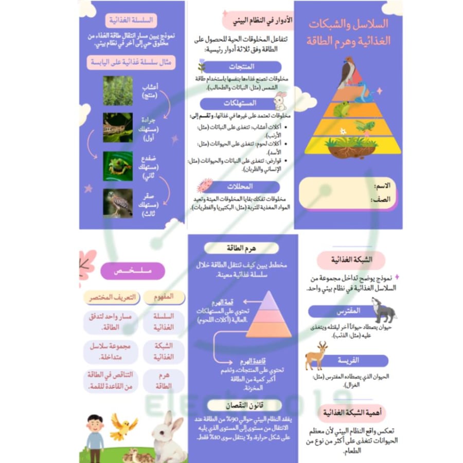 مطوية علوم درس (السلاسل والشبكات الغذائية)