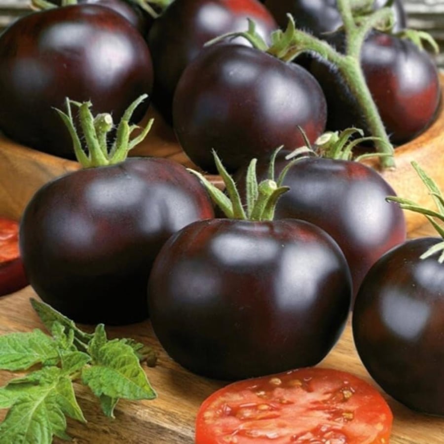 بذور طماطم الكرة السوداء