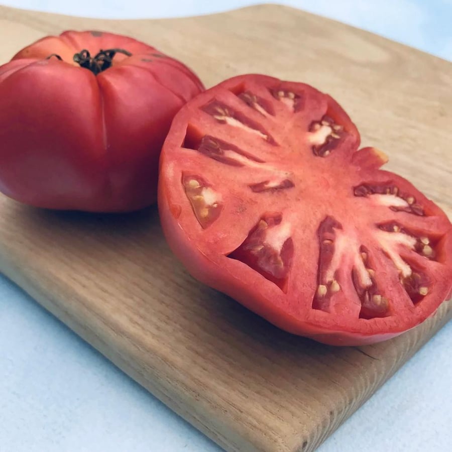 بذور طماطم Prudens Purple موروثة