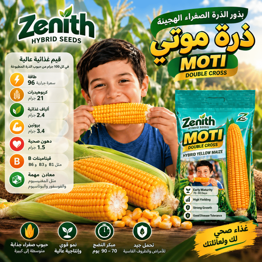 بذور الذرة الصفراء الهجينة موتي MOTI Double Cross