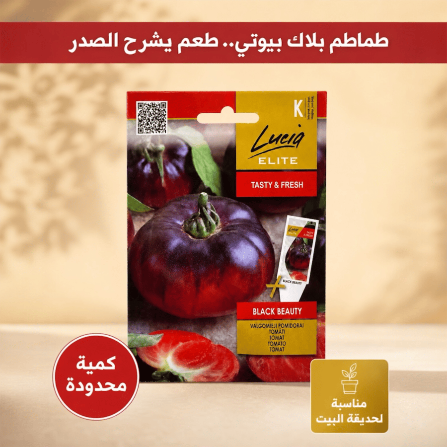 بذور طماطم Black Beauty – طماطم سوداء Lucia