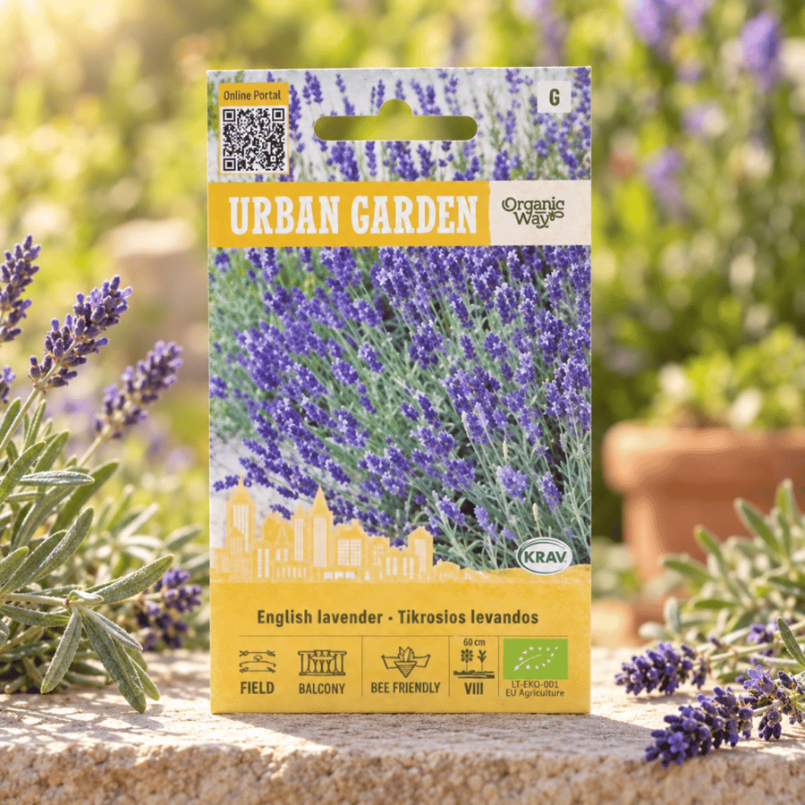 بذور اللافندر الإنجليزي العضوية – English Lavender