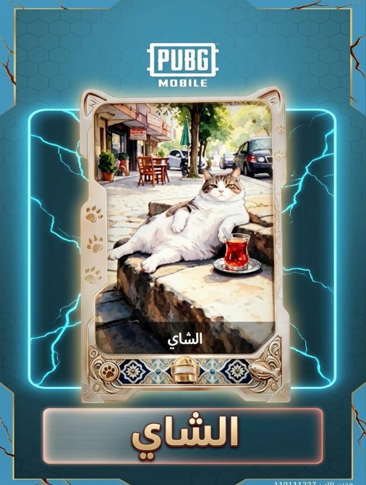 بطاقة الشاهي