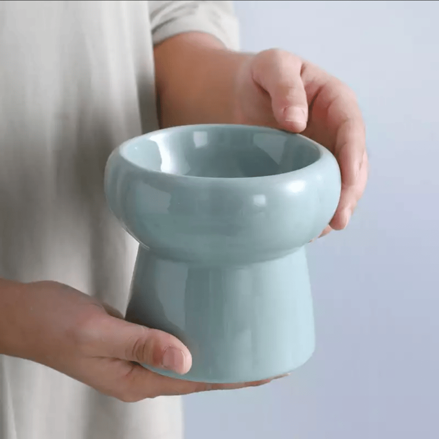صحن سيراميك للقطط والكلاب لون الاكوا - Ceramic Feeder For Cat and Dog aqua