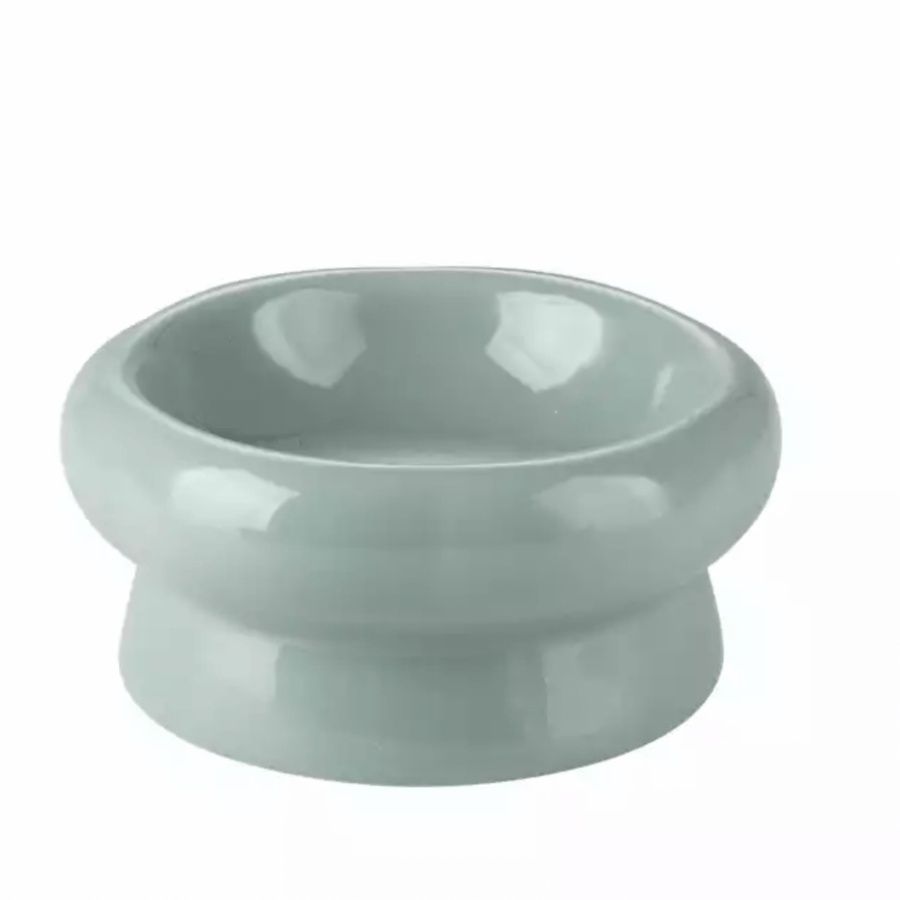 صحن سيراميك للقطط والكلاب لون الاكوا - Ceramic Feeder For Cat and Dog aqua