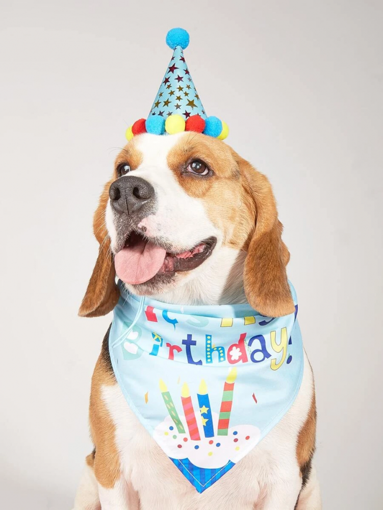 Birthday Hat And Bandana