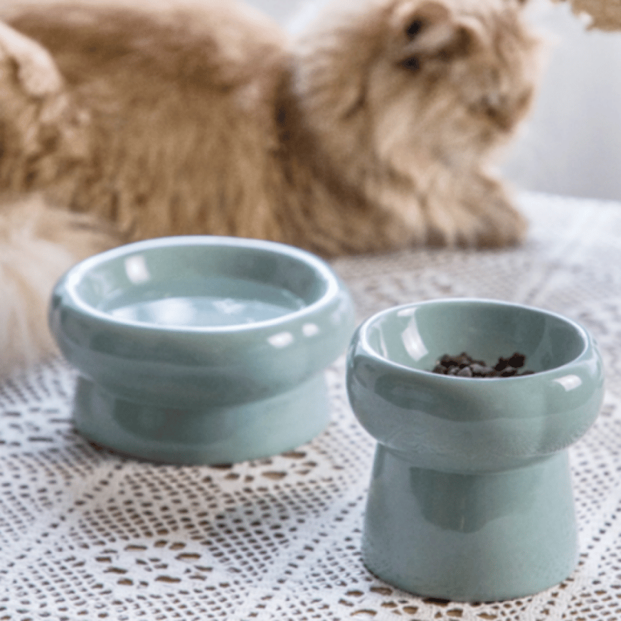 صحن سيراميك للقطط والكلاب لون الاكوا - Ceramic Feeder For Cat and Dog aqua