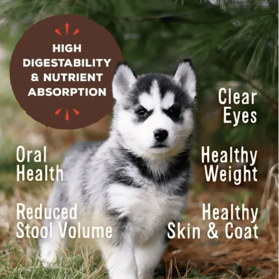 Primal Pronto Freeze-Dried Lamb Dog Food High Quality