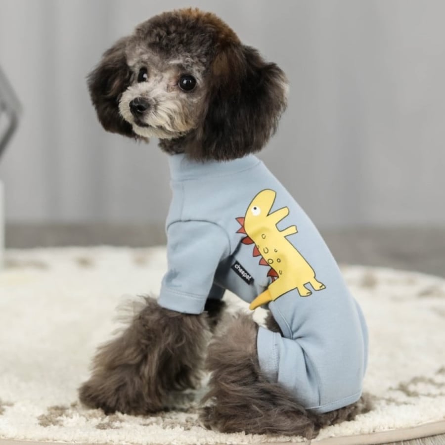 Cute Jumpsuits For Small dog