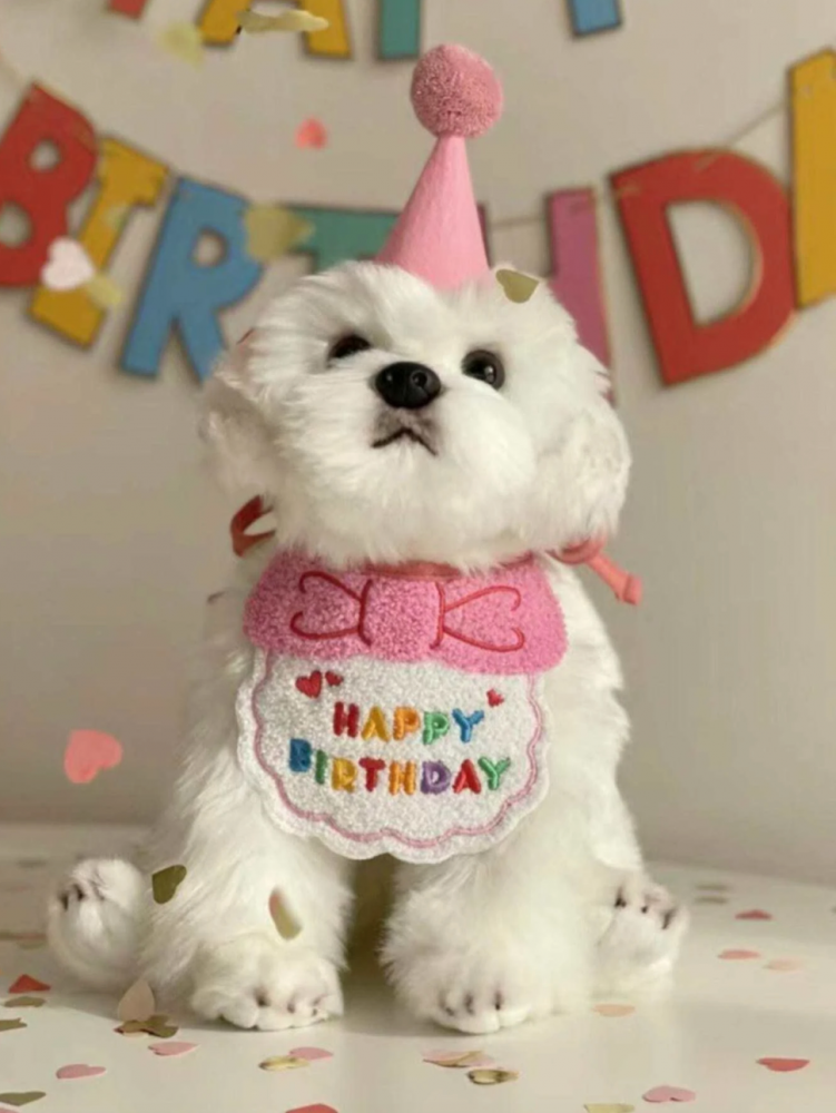 طقم عيد ميلاد ، قطعتين للقطط والكلاب - Birthday Set, 2 pieces for Cats and Dogs
