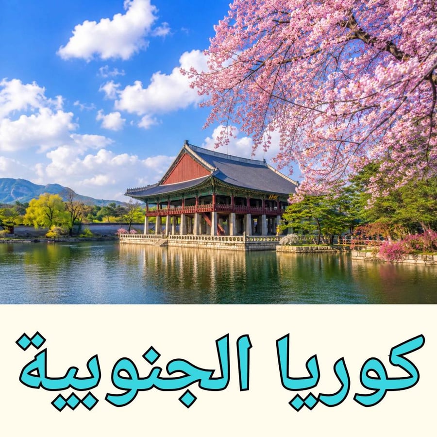 بكج كوريا الجنوبية جاهز