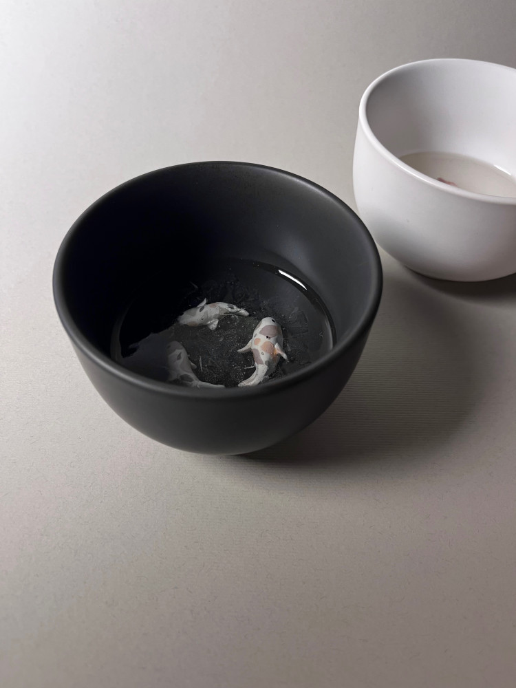 Fish Cup