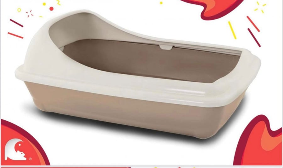 Litter box for kitten