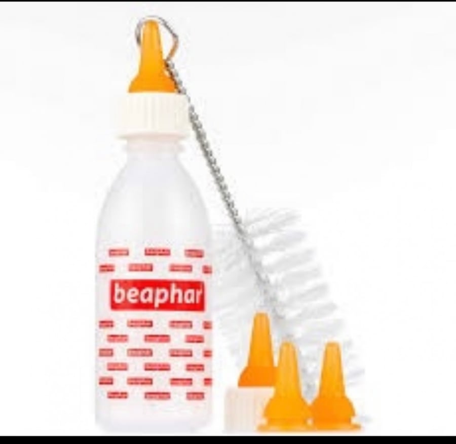 Beaphar feeding set