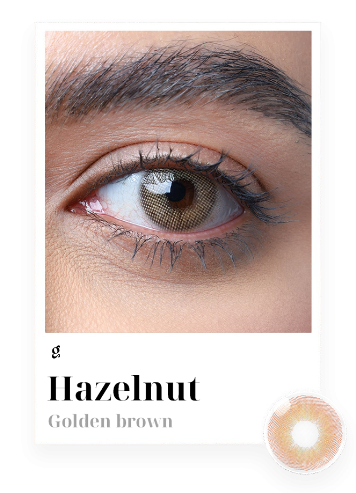 هيزلنت Hazelnut