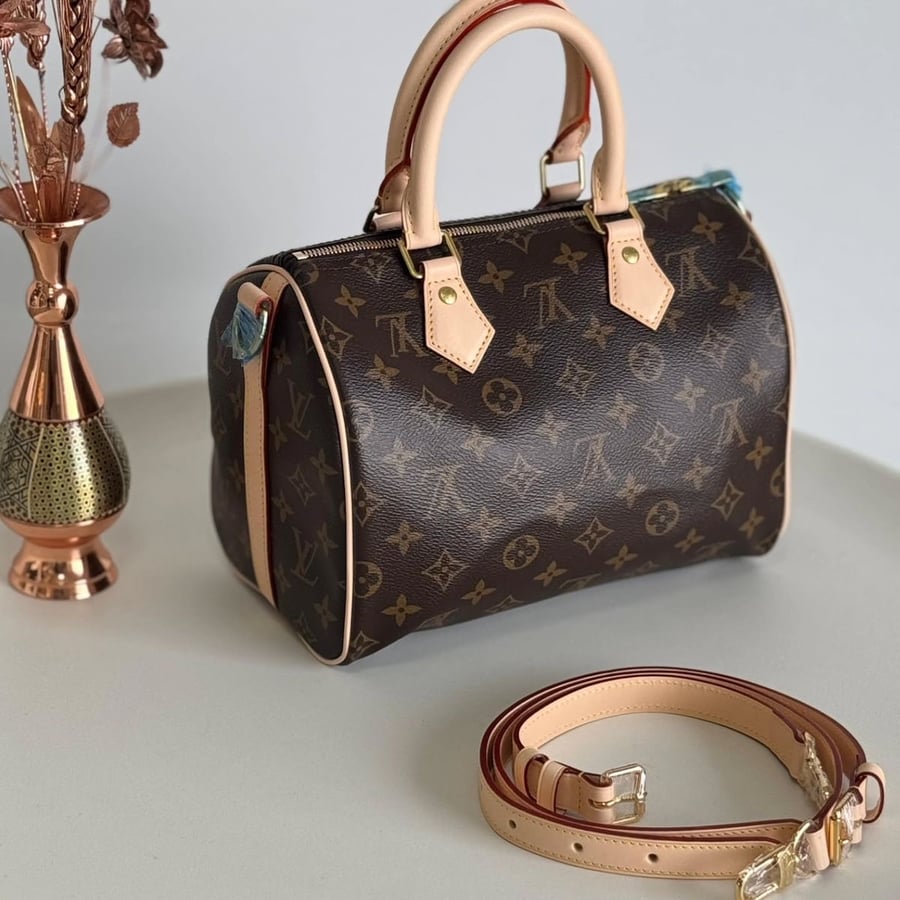 Louis Vuitton speedy