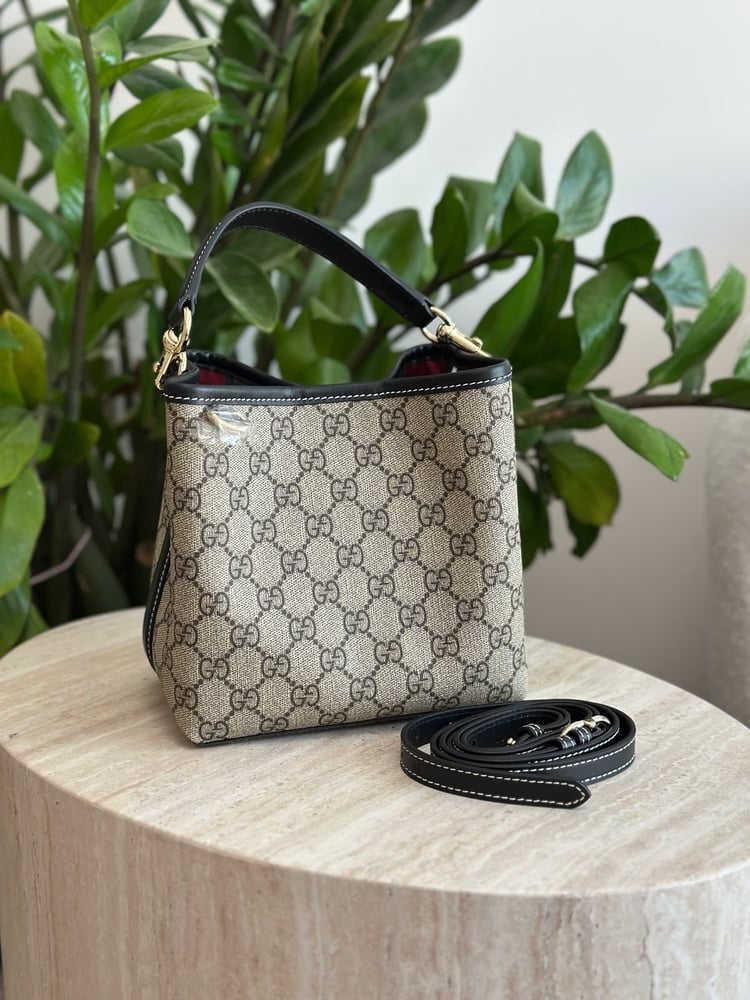 Gucci Emblem mini