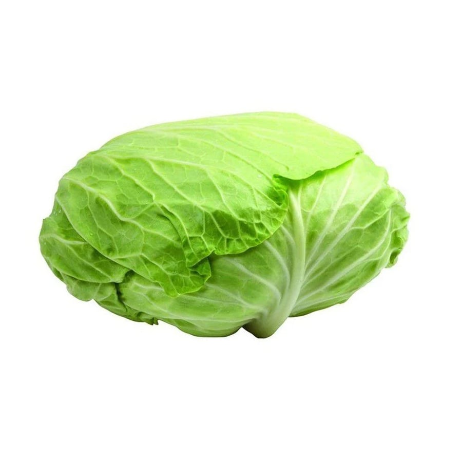 ملفوف محشي