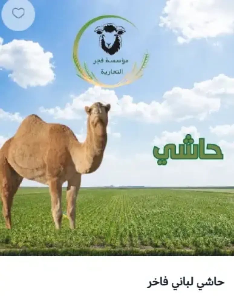 حاشي لباني / فآخر .10 كيلو