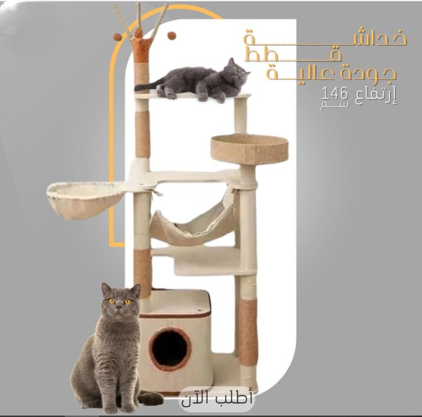 Empty cat bowl