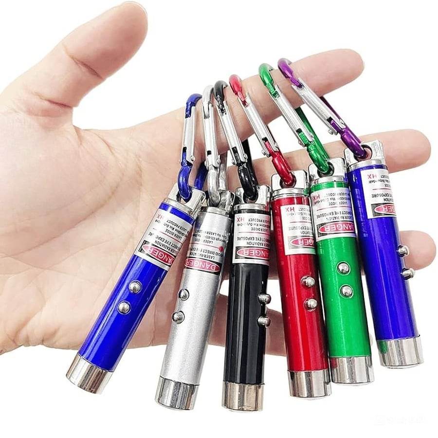 Red laser for training and entertaining cats